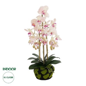 glo-21400-21400_0.webp GLOBOSTAR® ARTIFICIAL GARDEN BUTTERFLY ORCHID BONSAI 21400 ΤΕΧΝΗΤΟ ΔΙΑΚΟΣΜΗΤΙΚΟ ΦΥΤΟ ΟΡΧΙΔ