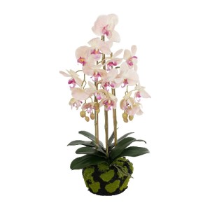glo-21400-21400_2.webp GLOBOSTAR® ARTIFICIAL GARDEN BUTTERFLY ORCHID BONSAI 21400 ΤΕΧΝΗΤΟ ΔΙΑΚΟΣΜΗΤΙΚΟ ΦΥΤΟ ΟΡΧΙΔ