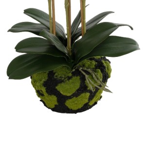 glo-21400-21400_4.webp GLOBOSTAR® ARTIFICIAL GARDEN BUTTERFLY ORCHID BONSAI 21400 ΤΕΧΝΗΤΟ ΔΙΑΚΟΣΜΗΤΙΚΟ ΦΥΤΟ ΟΡΧΙΔ