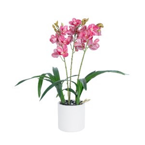 glo-21402-21402_2 GLOBOSTAR® ARTIFICIAL GARDEN PINK CHERRY CYMBIDIUM 21402 ΔΙΑΚΟΣΜΗΤΙΚΟ ΦΥΤΟ ΦΟΥΞΙΑ ΚΥΜΒΙΔΙΟ