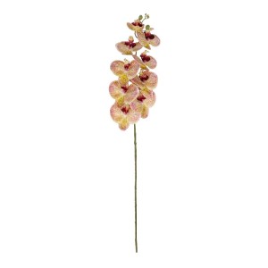 glo-21405-21405_2.webp GLOBOSTAR® ARTIFICIAL GARDEN PING SALMON ORCHID BRANCH 21405 ΤΕΧΝΗΤΟ ΔΙΑΚΟΣΜΗΤΙΚΟ ΚΛΑΔΙ  Ρ