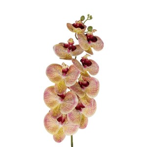 glo-21405-21405_3.webp GLOBOSTAR® ARTIFICIAL GARDEN PING SALMON ORCHID BRANCH 21405 ΤΕΧΝΗΤΟ ΔΙΑΚΟΣΜΗΤΙΚΟ ΚΛΑΔΙ  Ρ