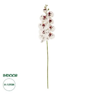 glo-21406-21406_0.webp GLOBOSTAR® ARTIFICIAL GARDEN WHITE ORCHID BRANCH 21406 ΤΕΧΝΗΤΟ ΔΙΑΚΟΣΜΗΤΙΚΟ ΚΛΑΔΙ ΛΕΥΚΗ ΟΡ