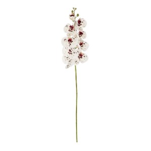 glo-21406-21406_2.webp GLOBOSTAR® ARTIFICIAL GARDEN WHITE ORCHID BRANCH 21406 ΤΕΧΝΗΤΟ ΔΙΑΚΟΣΜΗΤΙΚΟ ΚΛΑΔΙ ΛΕΥΚΗ ΟΡ