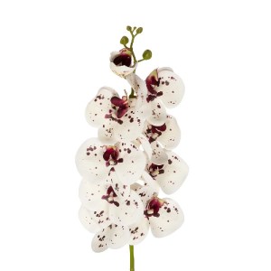 glo-21406-21406_3.webp GLOBOSTAR® ARTIFICIAL GARDEN WHITE ORCHID BRANCH 21406 ΤΕΧΝΗΤΟ ΔΙΑΚΟΣΜΗΤΙΚΟ ΚΛΑΔΙ ΛΕΥΚΗ ΟΡ