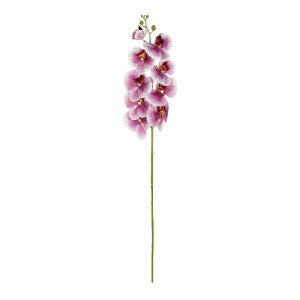glo-21407-21407_2.webp GLOBOSTAR® ARTIFICIAL GARDEN PINK ORCHID BRANCH 21407 ΤΕΧΝΗΤΟ ΔΙΑΚΟΣΜΗΤΙΚΟ ΚΛΑΔΙ ΡΟΖ ΟΡΧΙΔ