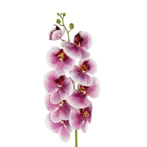 glo-21407-21407_3.webp GLOBOSTAR® ARTIFICIAL GARDEN PINK ORCHID BRANCH 21407 ΤΕΧΝΗΤΟ ΔΙΑΚΟΣΜΗΤΙΚΟ ΚΛΑΔΙ ΡΟΖ ΟΡΧΙΔ
