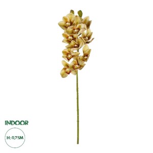 glo-21408-21408_0.webp GLOBOSTAR® ARTIFICIAL GARDEN CHAMPAGNE CYMBIDIUM BRANCH 21408 ΤΕΧΝΗΤΟ ΔΙΑΚΟΣΜΗΤΙΚΟ ΚΛΑΔΙ Σ