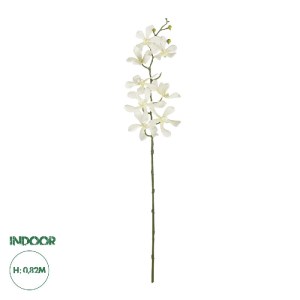 glo-21409-21409_0.webp GLOBOSTAR® ARTIFICIAL GARDEN WHITE VANDA ORCHID BRANCH 21409 ΤΕΧΝΗΤΟ ΔΙΑΚΟΣΜΗΤΙΚΟ ΚΛΑΔΙ ΛΕ
