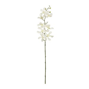 glo-21409-21409_2.webp GLOBOSTAR® ARTIFICIAL GARDEN WHITE VANDA ORCHID BRANCH 21409 ΤΕΧΝΗΤΟ ΔΙΑΚΟΣΜΗΤΙΚΟ ΚΛΑΔΙ ΛΕ