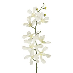 glo-21409-21409_3.webp GLOBOSTAR® ARTIFICIAL GARDEN WHITE VANDA ORCHID BRANCH 21409 ΤΕΧΝΗΤΟ ΔΙΑΚΟΣΜΗΤΙΚΟ ΚΛΑΔΙ ΛΕ