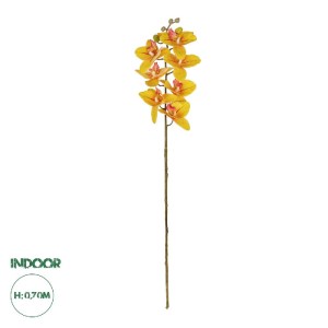 glo-21410-21410_0.webp GLOBOSTAR® ARTIFICIAL GARDEN YELLOW RED ORCHID BRANCH 21410 ΤΕΧΝΗΤΟ ΔΙΑΚΟΣΜΗΤΙΚΟ ΚΛΑΔΙ ΚΙΤ