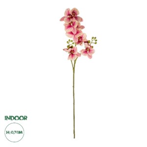 glo-21411-21411_0.webp GLOBOSTAR® ARTIFICIAL GARDEN CHAMPAGNE PINK ORCHID  BRANCH 21411 ΤΕΧΝΗΤΟ ΔΙΑΚΟΣΜΗΤΙΚΟ ΚΛΑΔ