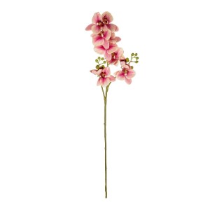 glo-21411-21411_2.webp GLOBOSTAR® ARTIFICIAL GARDEN CHAMPAGNE PINK ORCHID  BRANCH 21411 ΤΕΧΝΗΤΟ ΔΙΑΚΟΣΜΗΤΙΚΟ ΚΛΑΔ