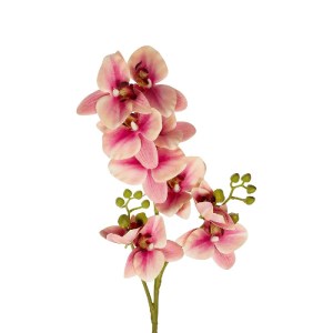 glo-21411-21411_3.webp GLOBOSTAR® ARTIFICIAL GARDEN CHAMPAGNE PINK ORCHID  BRANCH 21411 ΤΕΧΝΗΤΟ ΔΙΑΚΟΣΜΗΤΙΚΟ ΚΛΑΔ