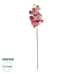 glo-21412-21412_0.webp GLOBOSTAR® ARTIFICIAL GARDEN  PINK ORCHID  BRANCH 21412 ΤΕΧΝΗΤΟ ΔΙΑΚΟΣΜΗΤΙΚΟ ΚΛΑΔΙ ΡΟΖ ΟΡΧ