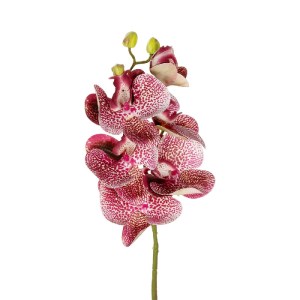 glo-21412-21412_3.webp GLOBOSTAR® ARTIFICIAL GARDEN  PINK ORCHID  BRANCH 21412 ΤΕΧΝΗΤΟ ΔΙΑΚΟΣΜΗΤΙΚΟ ΚΛΑΔΙ ΡΟΖ ΟΡΧ