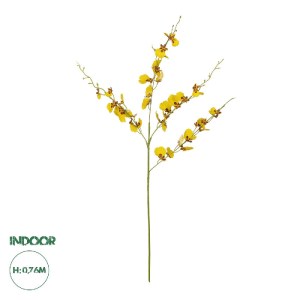 glo-21415-21415_0.webp GLOBOSTAR® ARTIFICIAL GARDEN YELLOW SPRING ORCHIDIUM BRANCH 21415 ΤΕΧΝΗΤΟ ΔΙΑΚΟΣΜΗΤΙΚΟ ΚΛΑ