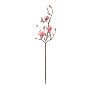 glo-21416-21416_2.webp GLOBOSTAR® ARTIFICIAL GARDEN WHITE - PINK MAGNOLIA 21416 ΤΕΧΝΗΤΟ ΔΙΑΚΟΣΜΗΤΙΚΟ ΚΛΑΔΙ ΡΟΖ ΜΑ