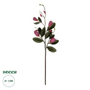glo-21421-21421_0.webp GLOBOSTAR® ARTIFICIAL GARDEN DARK PING MAGNOLIA BRANCH 21421 ΤΕΧΝΗΤΟ ΔΙΑΚΟΣΜΗΤΙΚΟ ΚΛΑΔΙ ΡΟ