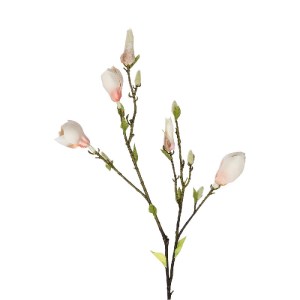 glo-21423-21423_3.webp GLOBOSTAR® ARTIFICIAL GARDEN CHAMPAGNE MAGNOLIA BRANCH 21423 ΤΕΧΝΗΤΟ ΔΙΑΚΟΣΜΗΤΙΚΟ ΚΛΑΔΙ ΣΑ