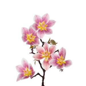 glo-21424-21424_3.webp GLOBOSTAR® ARTIFICIAL GARDEN PING MAGNOLIA BRANCH 21424 ΤΕΧΝΗΤΟ ΔΙΑΚΟΣΜΗΤΙΚΟ ΚΛΑΔΙ ΡΟΖ ΜΑΓ