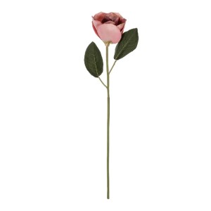 glo-21426-21426_2.webp GLOBOSTAR® ARTIFICIAL GARDEN PINK MAGNOLIA 21426 ΤΕΧΝΗΤΟ ΔΙΑΚΟΣΜΗΤΙΚΟ ΚΛΑΔΙ ΡΟΖ ΜΑΝΟΛΙΑ Μ1