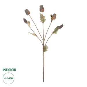 glo-21432-21432_0.webp GLOBOSTAR® ARTIFICIAL GARDEN POPPY FRUIT BRANCH 21432 ΤΕΧΝΗΤΟ ΔΙΑΚΟΣΜΗΤΙΚΟ ΚΛΑΔΙ ΠΑΠΑΡΟΥΝΑ