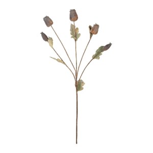 glo-21432-21432_2.webp GLOBOSTAR® ARTIFICIAL GARDEN POPPY FRUIT BRANCH 21432 ΤΕΧΝΗΤΟ ΔΙΑΚΟΣΜΗΤΙΚΟ ΚΛΑΔΙ ΠΑΠΑΡΟΥΝΑ