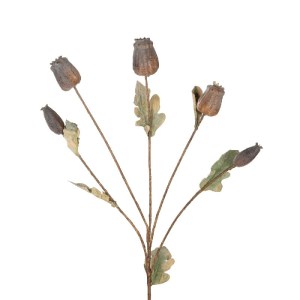glo-21432-21432_3.webp GLOBOSTAR® ARTIFICIAL GARDEN POPPY FRUIT BRANCH 21432 ΤΕΧΝΗΤΟ ΔΙΑΚΟΣΜΗΤΙΚΟ ΚΛΑΔΙ ΠΑΠΑΡΟΥΝΑ