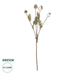 glo-21433-21433_0.webp GLOBOSTAR® ARTIFICIAL GARDEN POPPY FRUIT BRANCH 21433 ΤΕΧΝΗΤΟ ΔΙΑΚΟΣΜΗΤΙΚΟ ΚΛΑΔΙ ΠΑΠΑΡΟΥΝΑ