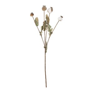 glo-21433-21433_2.webp GLOBOSTAR® ARTIFICIAL GARDEN POPPY FRUIT BRANCH 21433 ΤΕΧΝΗΤΟ ΔΙΑΚΟΣΜΗΤΙΚΟ ΚΛΑΔΙ ΠΑΠΑΡΟΥΝΑ