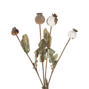 glo-21433-21433_3.webp GLOBOSTAR® ARTIFICIAL GARDEN POPPY FRUIT BRANCH 21433 ΤΕΧΝΗΤΟ ΔΙΑΚΟΣΜΗΤΙΚΟ ΚΛΑΔΙ ΠΑΠΑΡΟΥΝΑ