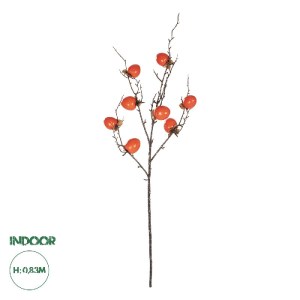 glo-21438-21438_0.webp GLOBOSTAR® ARTIFICIAL GARDEN ORANGE PERSIMMON FRUIT BRANCH 21438 ΤΕΧΝΗΤΟ ΔΙΑΚΟΣΜΗΤΙΚΟ ΠΟΡΤ