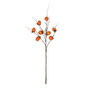 glo-21439-21439_2.webp GLOBOSTAR® ARTIFICIAL GARDEN PERSIMMON FRUIT 21439 ΤΕΧΝΗΤΟ ΔΙΑΚΟΣΜΗΤΙΚΟ ΚΛΑΔΙ ΠΟΡΤΟΚΑΛΙ & 