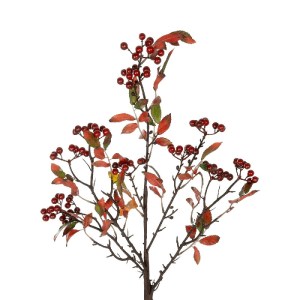 glo-21444-21444_3.webp GLOBOSTAR® ARTIFICIAL GARDEN BROWN BERRIES FRUIT BRANCH 21444 ΤΕΧΝΗΤΟ ΔΙΑΚΟΣΜΗΤΙΚΟ ΚΛΑΔΙ Κ