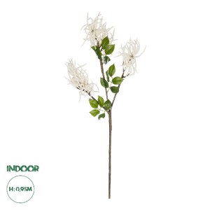 glo-21447-21447_0.webp GLOBOSTAR® ARTIFICIAL GARDEN WHITE AMARANTHUS FRUIT BRANCH 21447 ΤΕΧΝΗΤΟ ΔΙΑΚΟΣΜΗΤΙΚΟ ΚΛΑΔ