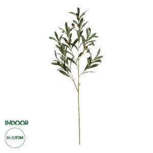 glo-21450-21450_0.webp GLOBOSTAR® ARTIFICIAL GARDEN OLIVE FRUIT BRANCH 21450 ΤΕΧΝΗΤΟ ΔΙΑΚΟΣΜΗΤΙΚΟ ΚΛΑΔΙ ΕΛΙΑΣ Y92