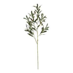 glo-21450-21450_2.webp GLOBOSTAR® ARTIFICIAL GARDEN OLIVE FRUIT BRANCH 21450 ΤΕΧΝΗΤΟ ΔΙΑΚΟΣΜΗΤΙΚΟ ΚΛΑΔΙ ΕΛΙΑΣ Y92