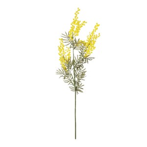 glo-21451-21451_2.webp GLOBOSTAR® ARTIFICIAL GARDEN YELLOW MIMOSA FRUIT BRANCH 21451 ΤΕΧΝΗΤΟ ΔΙΑΚΟΣΜΗΤΙΚΟ ΚΛΑΔΙ Κ