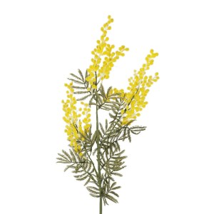 glo-21451-21451_3.webp GLOBOSTAR® ARTIFICIAL GARDEN YELLOW MIMOSA FRUIT BRANCH 21451 ΤΕΧΝΗΤΟ ΔΙΑΚΟΣΜΗΤΙΚΟ ΚΛΑΔΙ Κ
