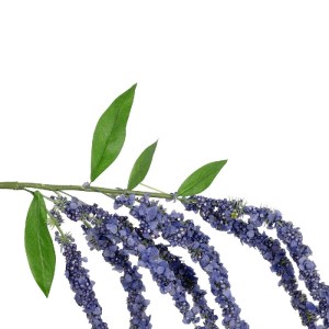 glo-21452-21452_3.webp GLOBOSTAR® ARTIFICIAL GARDEN PURPLE AMARANTHUS FRUIT BRANCH 21452 ΤΕΧΝΗΤΟ ΔΙΑΚΟΣΜΗΤΙΚΟ ΚΛΑ