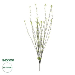 glo-21458-21458_0.webp GLOBOSTAR® ARTIFICIAL GARDEN GREEN WILLOW FLOWER BRANCH 21458 ΤΕΧΝΗΤΟ ΔΙΑΚΟΣΜΗΤΙΚΟ ΚΛΑΔΙ Λ