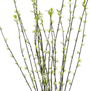 glo-21458-21458_3.webp GLOBOSTAR® ARTIFICIAL GARDEN GREEN WILLOW FLOWER BRANCH 21458 ΤΕΧΝΗΤΟ ΔΙΑΚΟΣΜΗΤΙΚΟ ΚΛΑΔΙ Λ