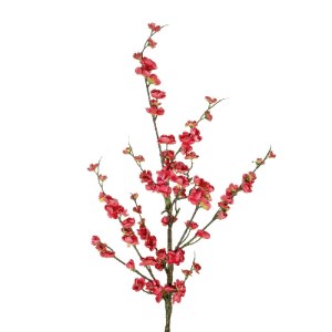 glo-21459-21459_3.webp GLOBOSTAR® ARTIFICIAL GARDEN CHINESE RED PLUM BLOSSOM BRANCH 21459 ΤΕΧΝΗΤΟ ΔΙΑΚΟΣΜΗΤΙΚΟ ΚΛ