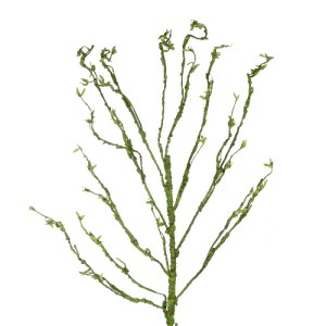 glo-21461-21461_3.webp GLOBOSTAR® ARTIFICIAL GARDEN BIG SPROUT BLOSSOM BRANCH 21461 ΤΕΧΝΗΤΟ ΔΙΑΚΟΣΜΗΤΙΚΟ ΚΛΑΔΙ ΠΡ