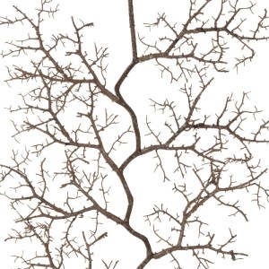 glo-21463-21463_3.webp GLOBOSTAR® ARTIFICIAL GARDEN SMALL CORAL 21463 ΤΕΧΝΗΤΟ ΔΙΑΚΟΣΜΗΤΙΚΟ ΚΛΑΔΙ ΚΑΦΕ Μ40 X Π7 X 