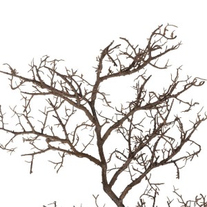 glo-21464-21464_3.webp GLOBOSTAR® ARTIFICIAL GARDEN EXTRA LARGE COLAR BRANCH 21464 ΤΕΧΝΗΤΟ ΔΙΑΚΟΣΜΗΤΙΚΟ ΚΛΑΔΙ KOΡ
