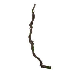 glo-21465-21465_2.webp GLOBOSTAR® ARTIFICIAL GARDEN VINE BRANCH 21465 ΤΕΧΝΗΤΟ ΔΙΑΚΟΣΜΗΤΙΚΟ ΚΛΑΔΙ ΑΜΠΕΛΙΟΥ Y170CM