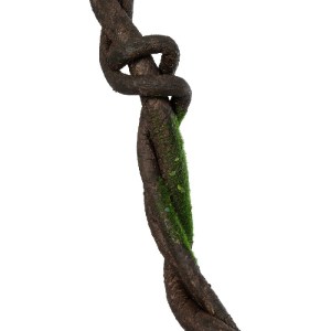 glo-21465-21465_4.webp GLOBOSTAR® ARTIFICIAL GARDEN VINE BRANCH 21465 ΤΕΧΝΗΤΟ ΔΙΑΚΟΣΜΗΤΙΚΟ ΚΛΑΔΙ ΑΜΠΕΛΙΟΥ Y170CM